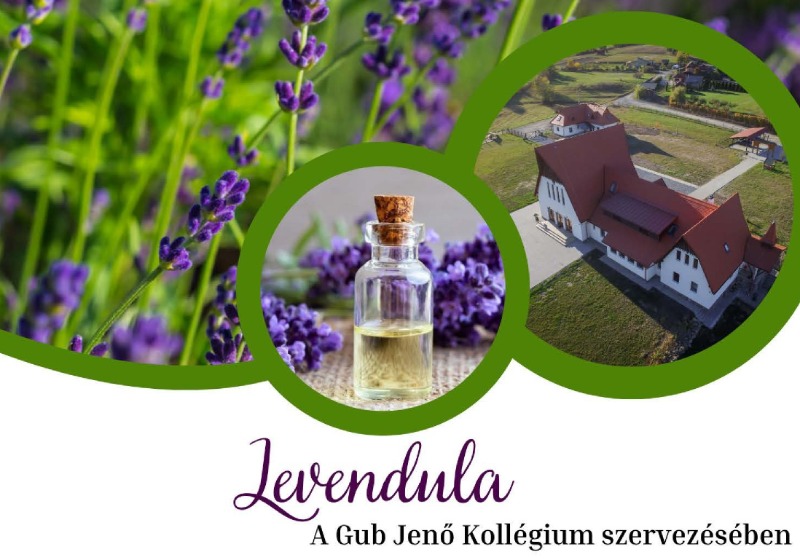 Levendula - A Gub Jenő Kollégium szervezésében