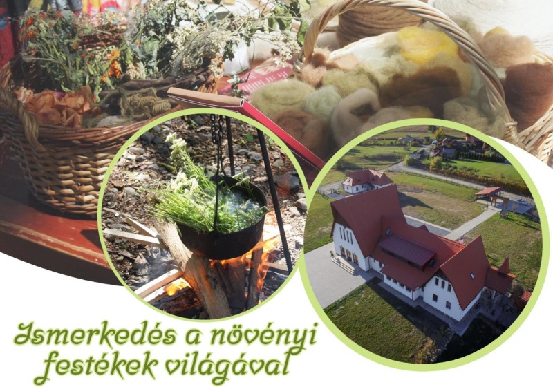 Ismerkedés a festőnövények világával